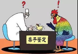 大理正规机构亲子鉴定1天加急办理