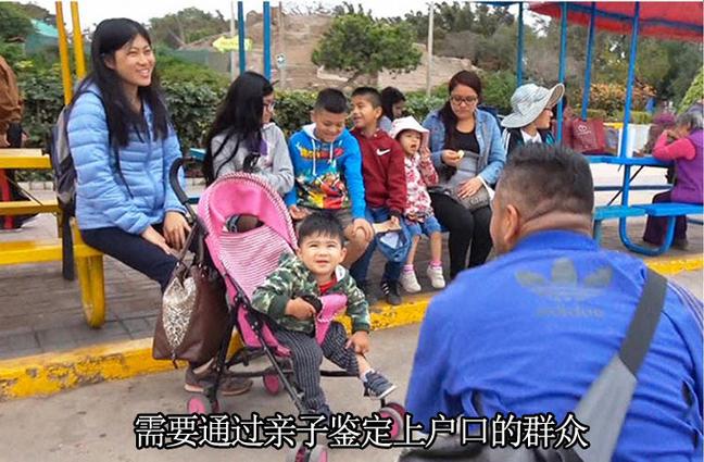 西宁亲子鉴定价格